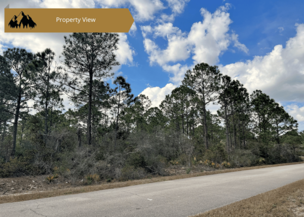 .34 acres in Highlands County, FL - Image 7