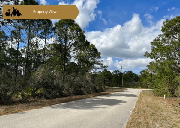 .34 acres in Highlands County, FL - Image 2