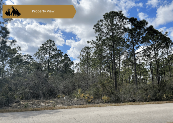.34 acres in Highlands County, FL - Image 8