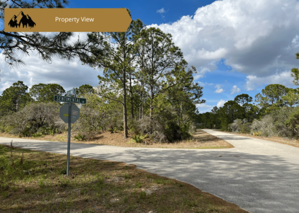 .29 acres in Highlands County, FL - Image 3