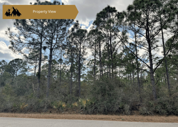 .29 acres in Highlands County, FL - Image 4