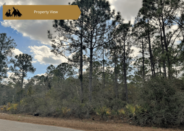 .29 acres in Highlands County, FL - Image 5