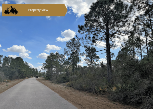 .29 acres in Highlands County, FL - Image 6