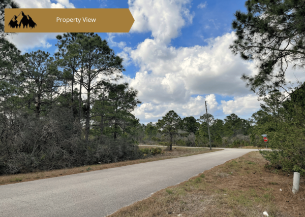 .29 acres in Highlands County, FL - Image 2