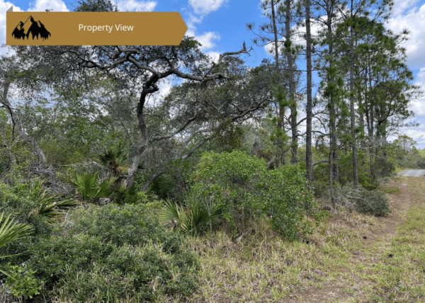 .46 acres in Highlands County, FL - Image 3