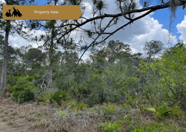 .46 acres in Highlands County, FL - Image 4