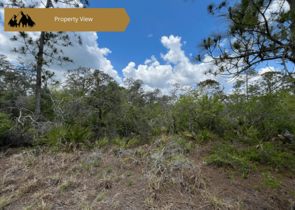.46 acres in Highlands County, FL - Image 5