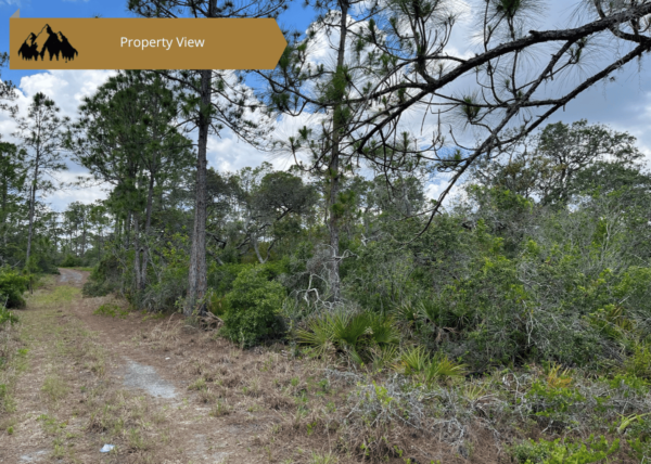 .46 acres in Highlands County, FL - Image 7