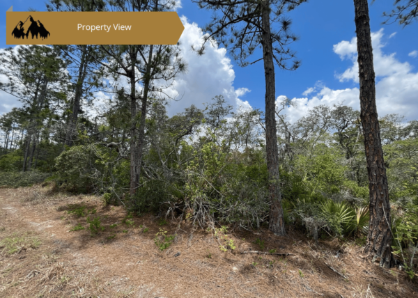 .46 acres in Highlands County, FL - Image 2