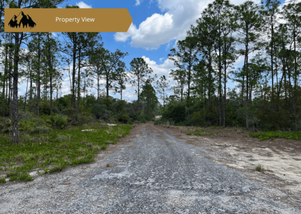 .46 acres in Highlands County, FL - Image 8