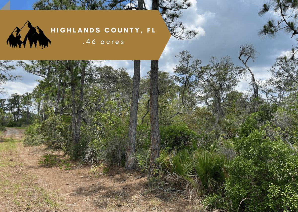 .46 acres in Highlands County, FL