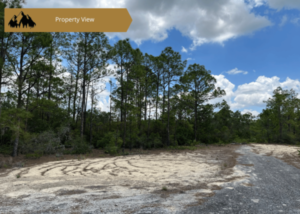 .54 acres in Highlands County, FL - Image 4