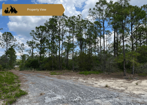 .54 acres in Highlands County, FL - Image 3