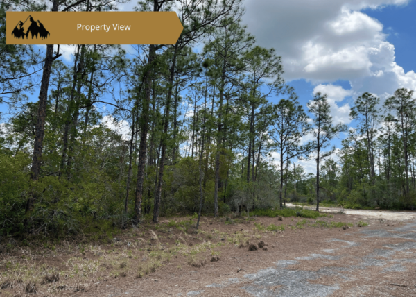 .54 acres in Highlands County, FL - Image 6