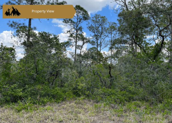 .54 acres in Highlands County, FL - Image 7