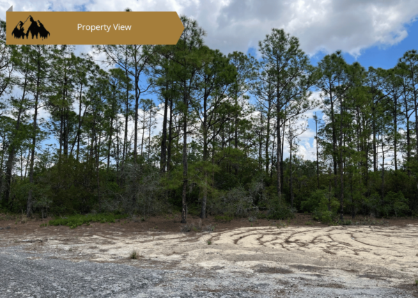 .54 acres in Highlands County, FL - Image 2