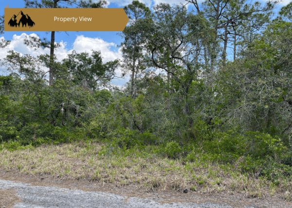 .54 acres in Highlands County, FL - Image 8