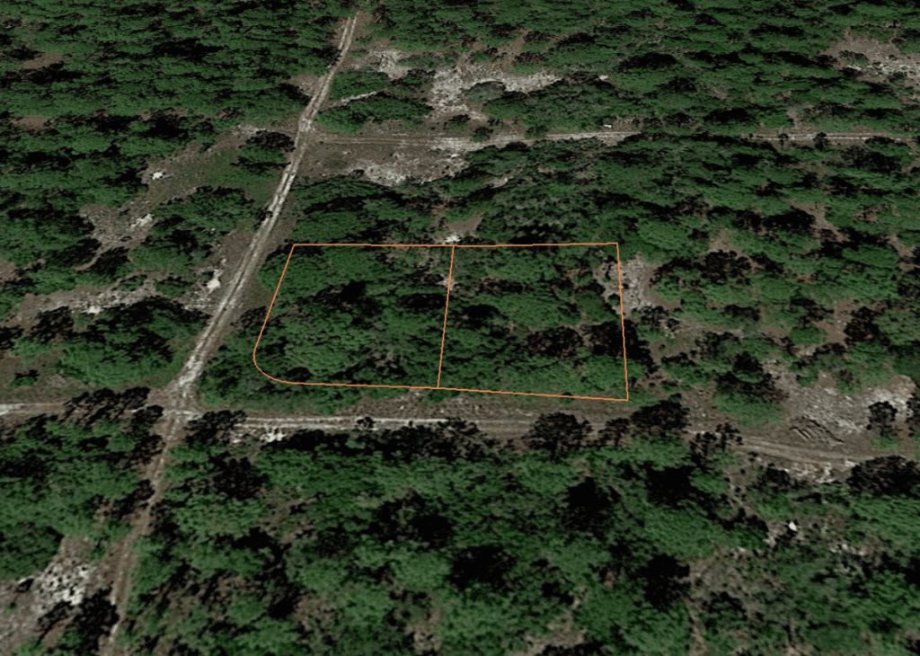 Aerial view of a dense forest with two adjacent rectangular lots outlined in orange; a dirt road runs along the bottom-left edge and curves at the left corner.