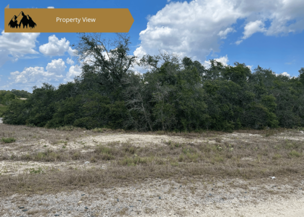 .25 acres in Highlands County, FL - Image 2