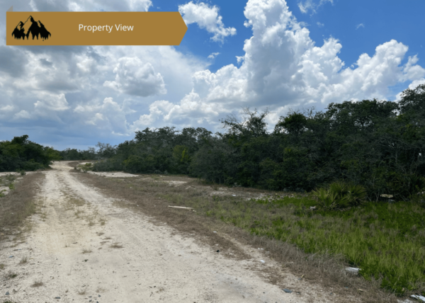 .25 acres in Highlands County, FL - Image 3