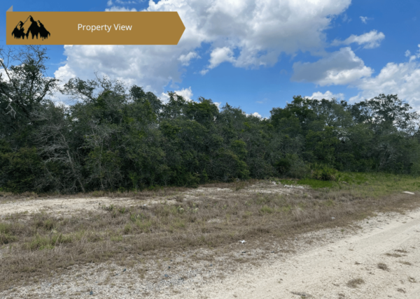 .25 acres in Highlands County, FL - Image 4
