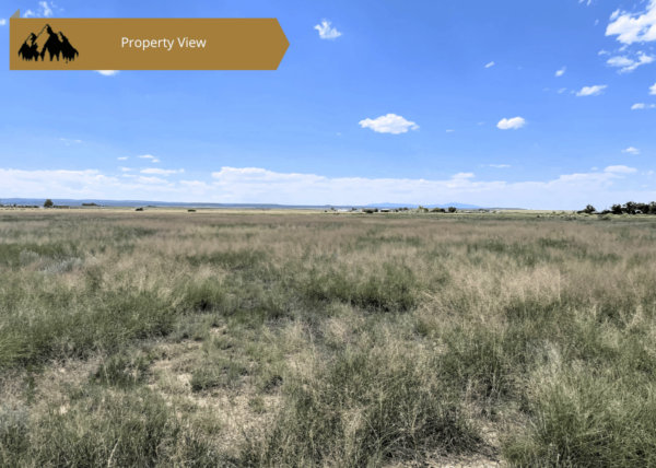 5 acres in Torrance County, NM - Image 5