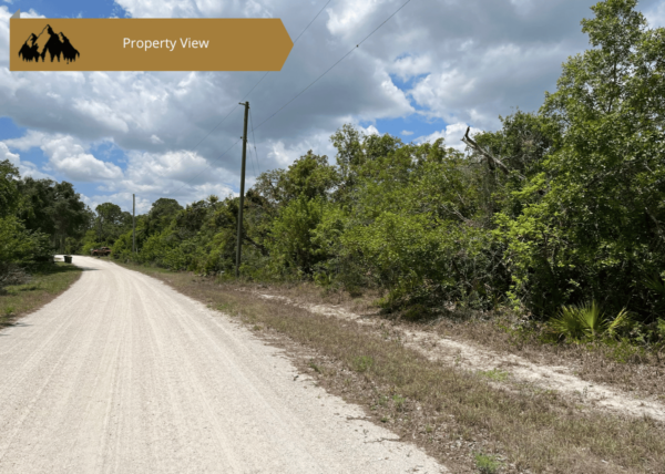 .24 acres in Highlands County, FL - Image 3