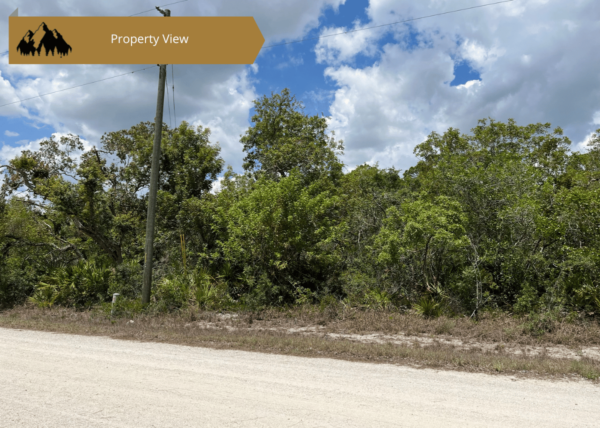.24 acres in Highlands County, FL - Image 4