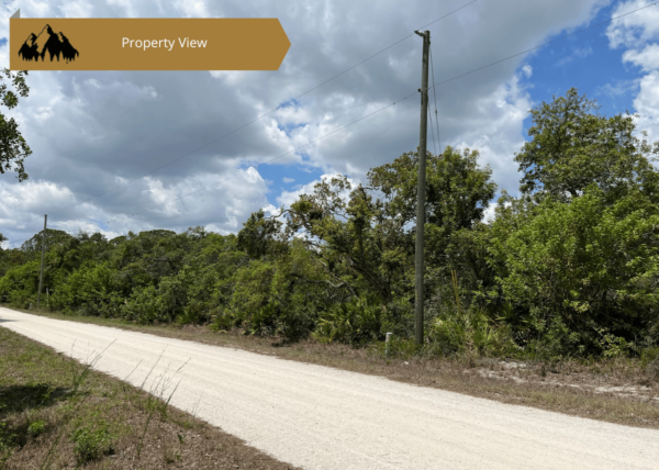 .24 acres in Highlands County, FL - Image 5
