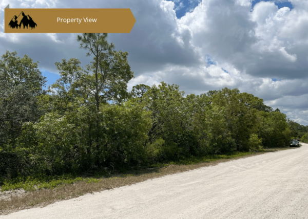 .22 acres in Highlands County, FL - Image 3
