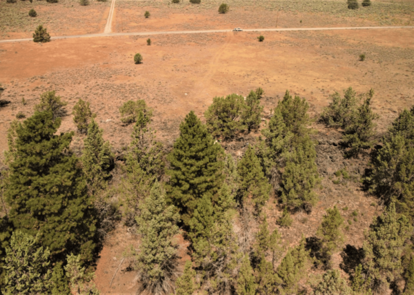2.11 Acres near Sprague River, OR - Image 4