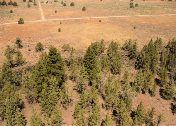 2.11 Acres near Sprague River, OR - Image 9