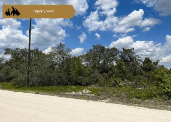 .44 acres in Highlands County, FL - Image 4