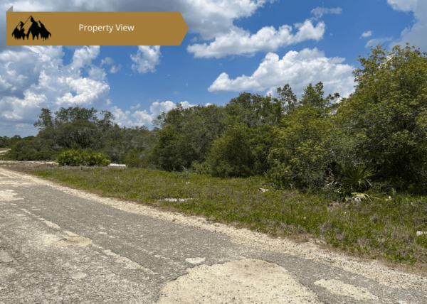.21 acres in Highlands County, FL - Image 3