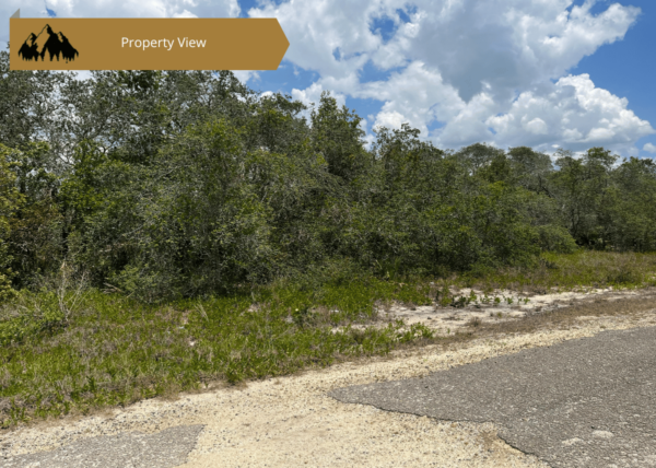 .21 acres in Highlands County, FL - Image 4