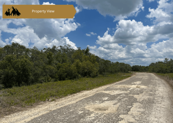 .21 acres in Highlands County, FL - Image 5