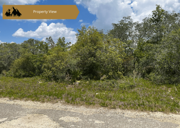 .21 acres in Highlands County, FL - Image 6