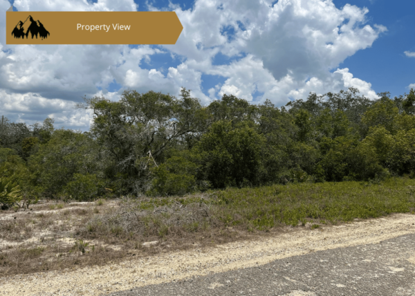 .21 acres in Highlands County, FL - Image 7