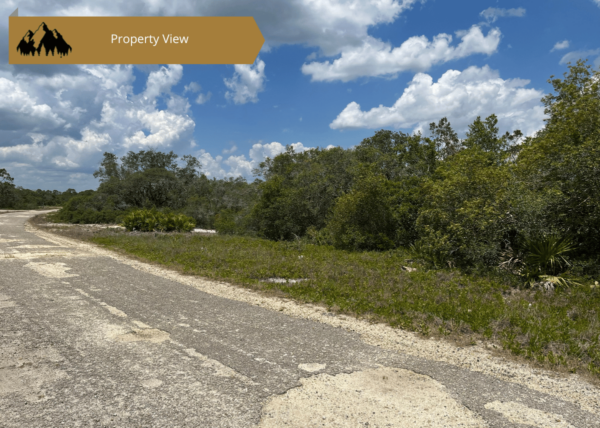 .21 acres in Highlands County, FL - Image 2