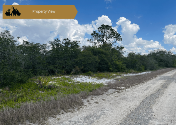 .25 acres in Highlands County, FL - Image 3