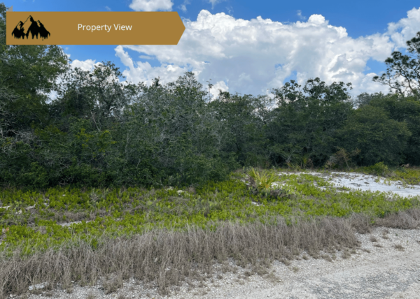 .25 acres in Highlands County, FL - Image 4