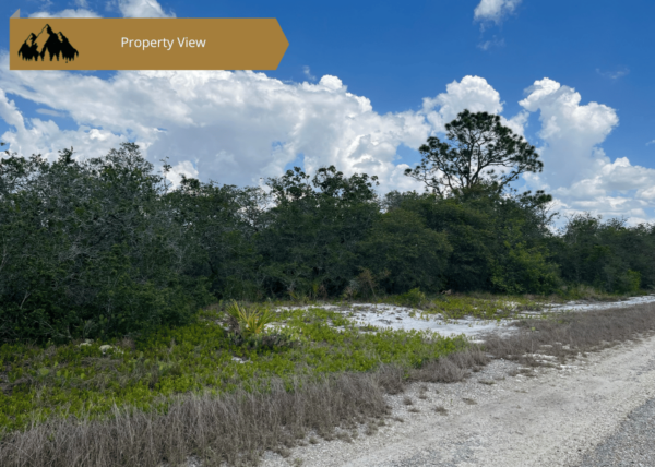 .25 acres in Highlands County, FL - Image 5