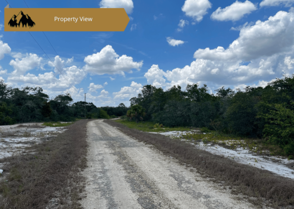 .25 acres in Highlands County, FL - Image 6