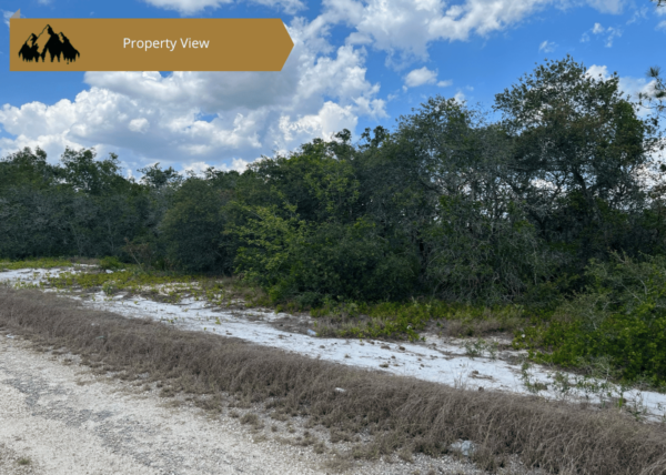 .25 acres in Highlands County, FL - Image 7