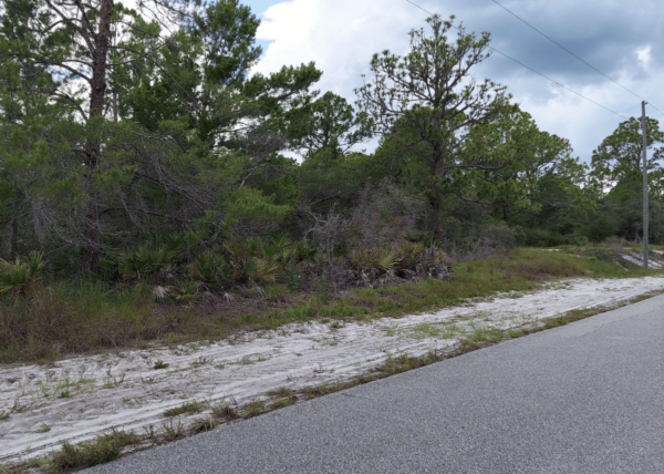 .23 acres in Lake Placid, FL