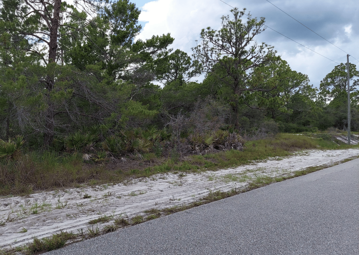 .23 acres in Lake Placid, FL