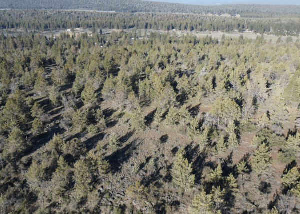 4.57 acres near Bonanza, OR - Image 2