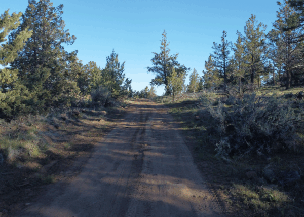 4.57 acres near Bonanza, OR - Image 3
