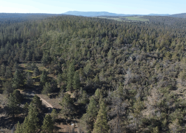 4.57 acres near Bonanza, OR - Image 8