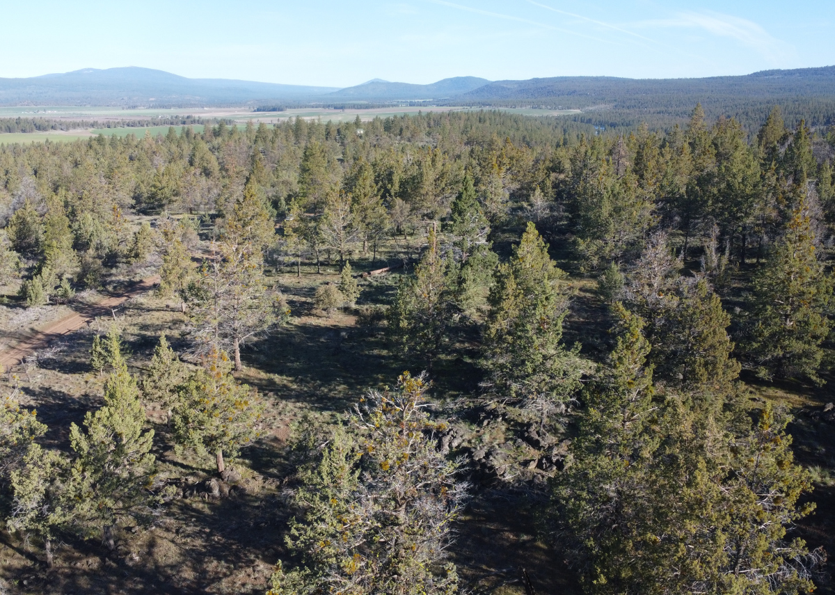 4.57 acres near Bonanza, OR